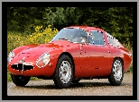 1965, Alfa Romeo Giulia TZ, Zabytkowe