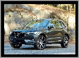 2017, Volvo XC60, SUV