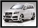 Audi Q7 V12 TDI Quattro