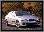 E39, BMW, M5