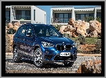 BMW X1 xDrive25i F48, 2015