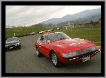 Ferrari Daytona, Zlot, Miłośników