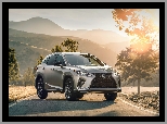 Lexus RX 350 F, Droga