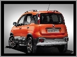 Fiat Panda Cross