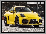 Porsche Cayman GT4, 2015